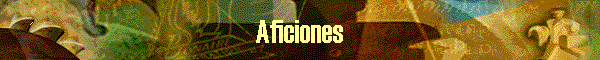 Aficiones